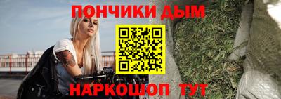 крисы Норильск