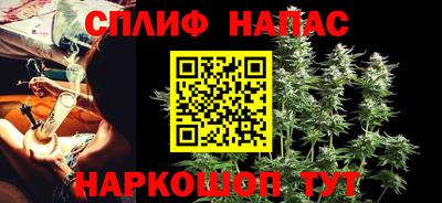 крисы Норильск