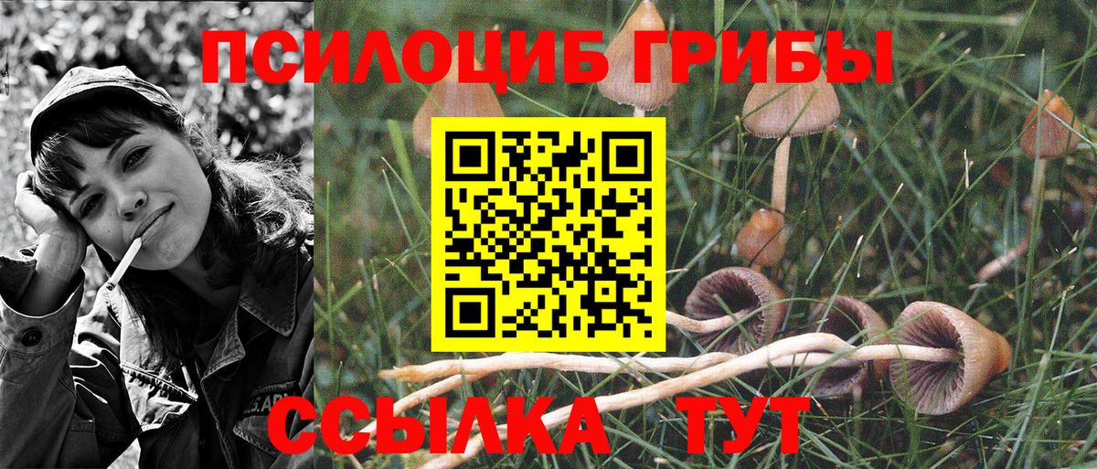 Псилоцибиновые грибы мухоморы Лангепас