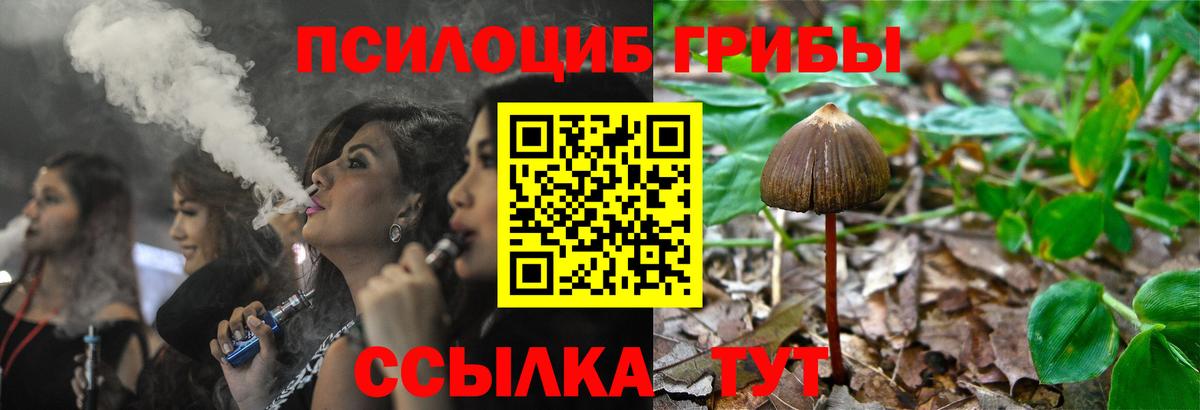 Галлюциногенные грибы Cubensis  Вход с VPN  Лангепас  Псилоцибиновые грибы прущие грибы 